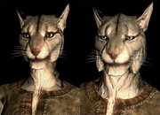 SepLnUp Khajiit a1&c1.png
