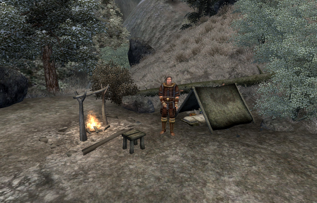 File:Aerin's Camp.png