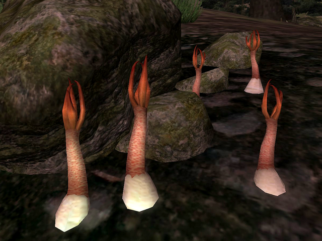File:Stinkhorn Cap.png