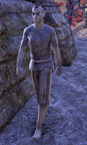 File:Llonvyn Velendas.png