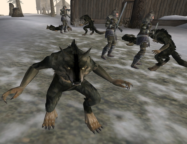 File:Siege of Skaal Village.png
