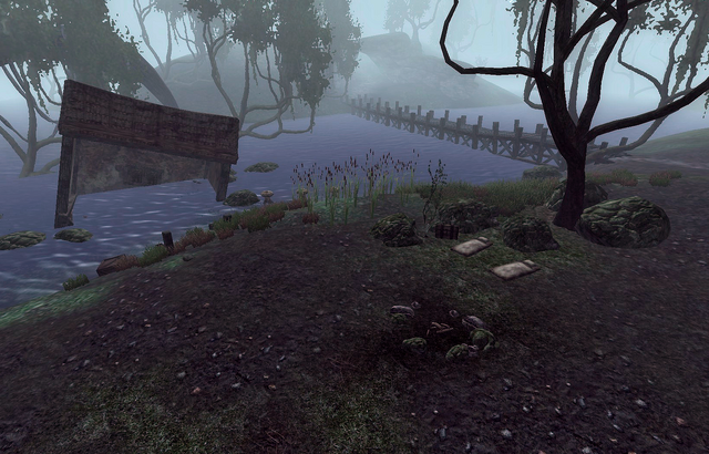 File:Flooded Camp.png