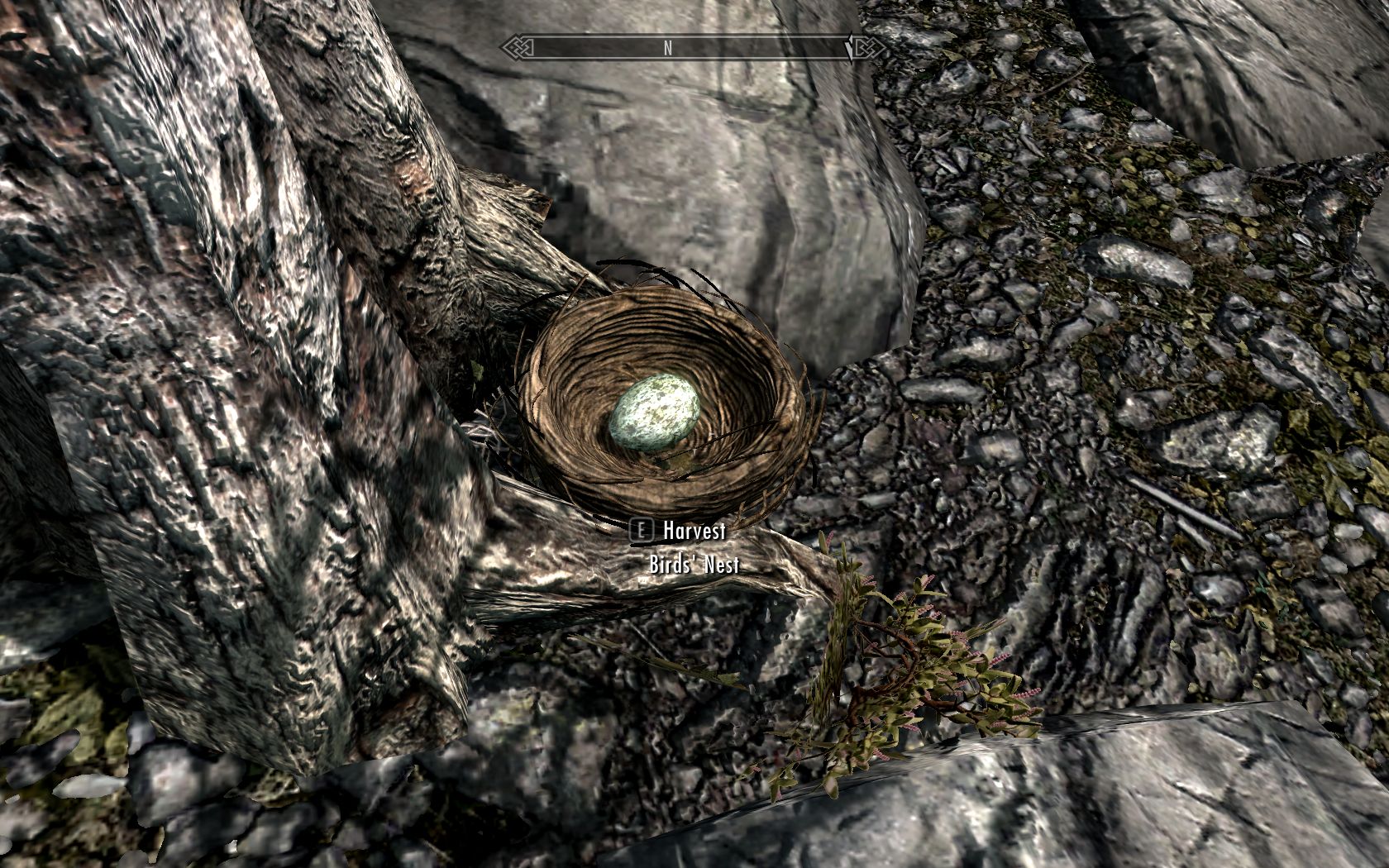 Nord Mead Skyrim