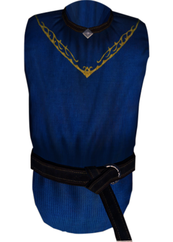 File:TESIV Clothing Arch-Mage's Robes.png
