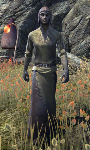 File:Dedaenil Selas.png