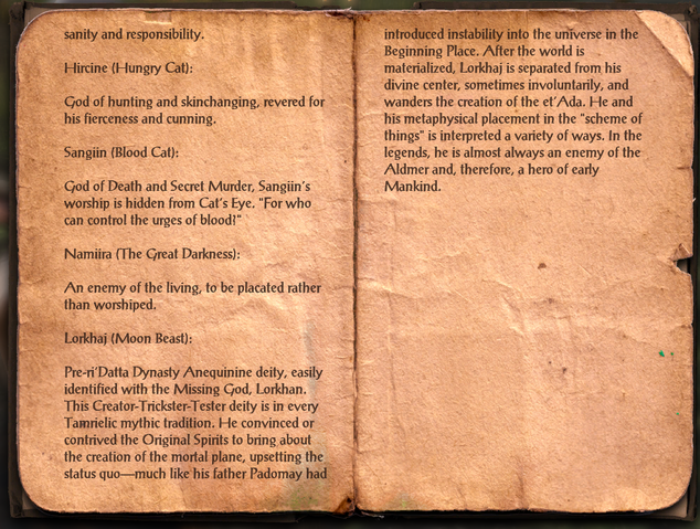 File:Varieties of Faith - The Khajiit 3.png