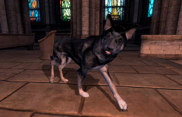 File:Kezune.png