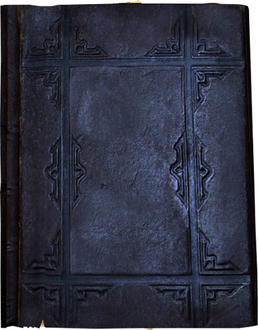 File:Erj's notes cover.png