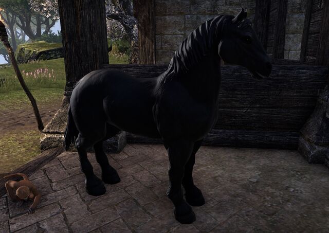 File:Midnight Steed.jpg