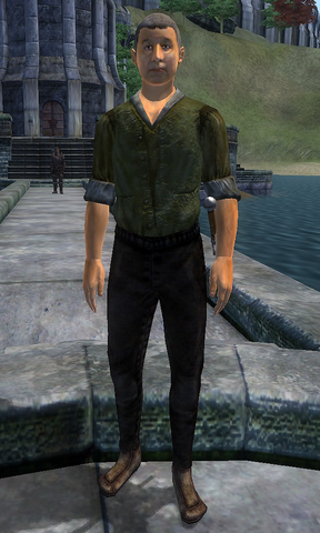 File:Vlanarus Kvinchal.png