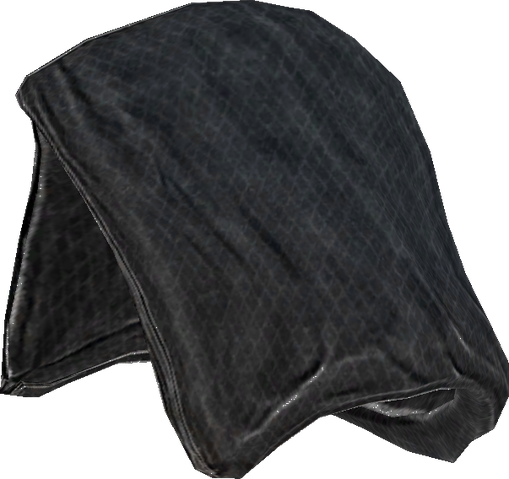File:Greybeard's Hood.png