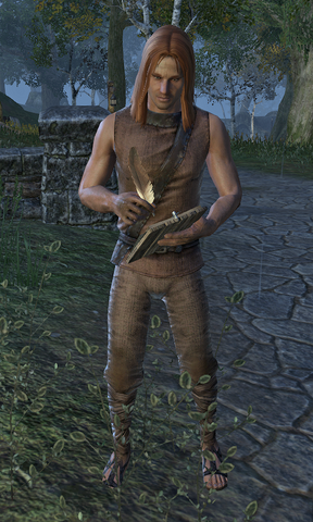 File:Absolard.png