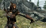 Khajiit femmina.jpg