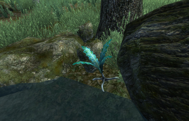 File:Seeking Your Roots.png