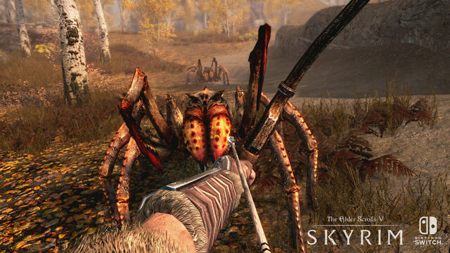 File:SkyrimSwitch Spiders.jpg