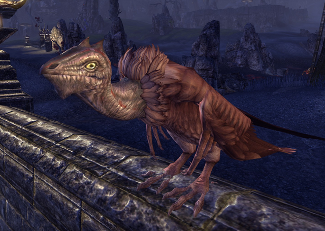 File:Cliff Darter ESO.png