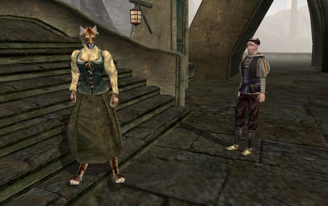 File:TES3 Morrowind - quest - An Escort to Molag Mar - Paur Maston and Vanjirra reunited.jpg