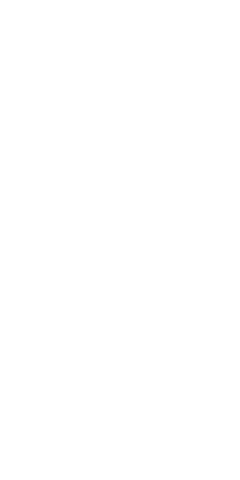 File:Dwemeris I.png