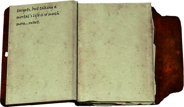 File:Silds Journall Page5-6.png