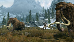 Mammoths Giant