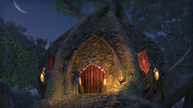 File:Vulkwasten Fighters Guild.png