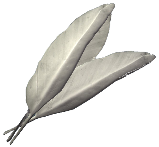 File:Felsaad tern feathers.png