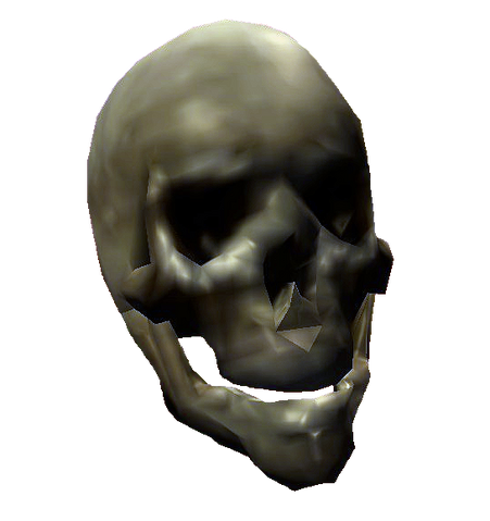 File:Bones Skull.png