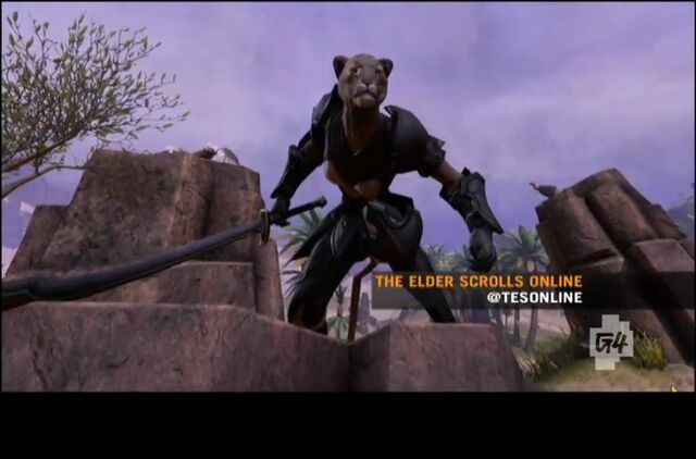 File:Elder Scrolls MMO Khajiit.jpg