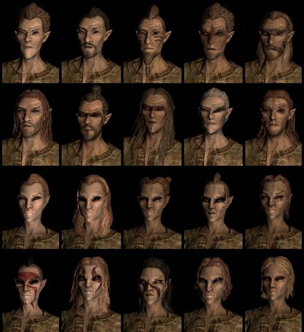 File:WoodElfCompilation-938x1024.jpg