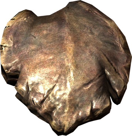 File:Chitin plate.png