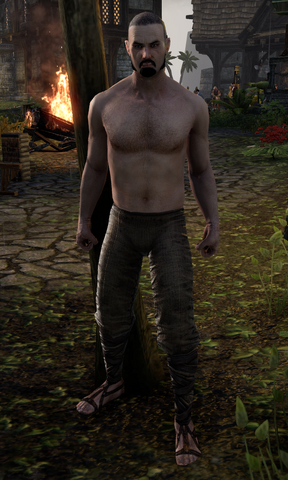 File:Pixot.png