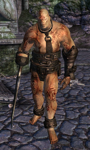 File:Gatekeeper (Shivering Isles).png