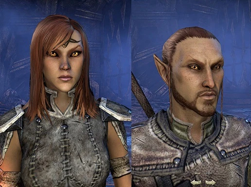 http://vignette3.wikia.nocookie.net/elderscrolls/images/6/61/High_Elf_%28Online%29.jpg/revision/latest?cb=20140120120742