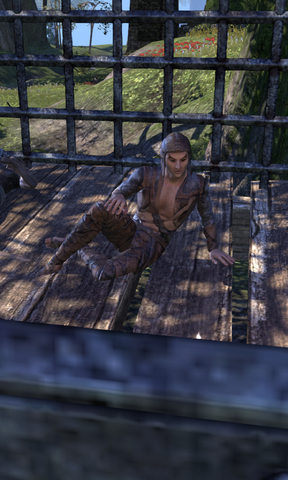 File:Burrfoot.png