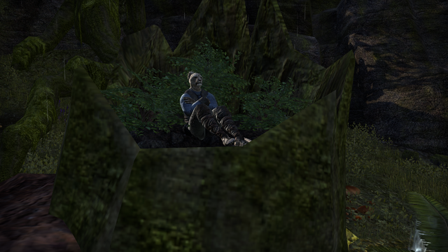 File:Feluz (2)Nature's Best Friend.png