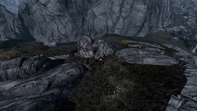 File:TESV Location Bloodied Bandit.png