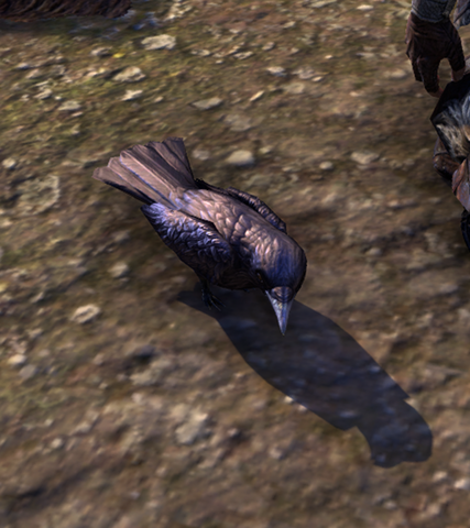 File:Wind (Crow).png