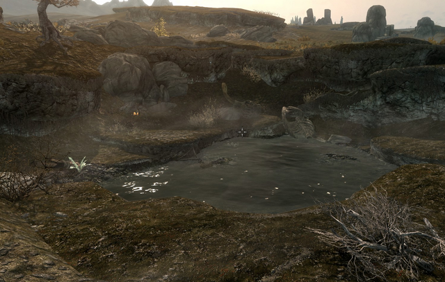 File:FetidPondGroundview.png