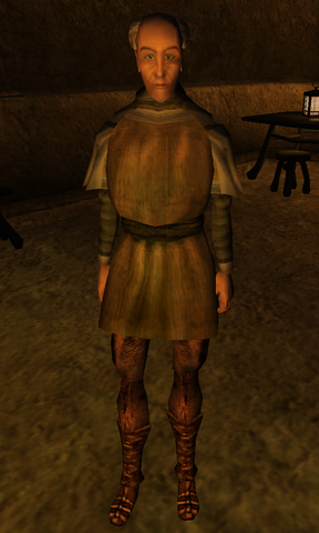 File:Noleon Sele.png