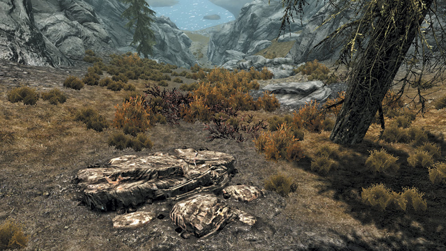 File:The Exposed Miner.png