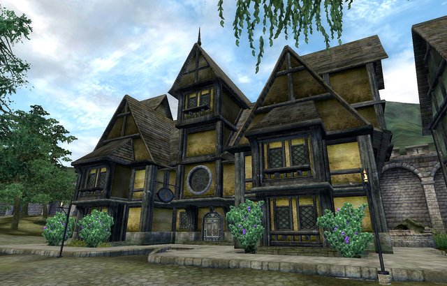 File:Leyawiin Mages Guild.png