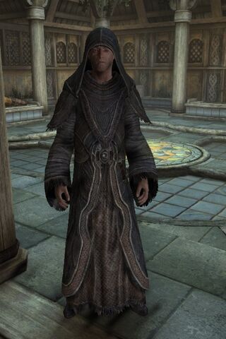File:Blasphemous Priest.jpg