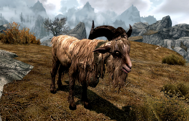File:Gleda the Goat.png