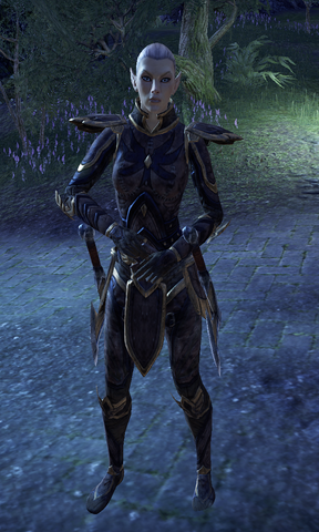 File:Sergeant Irinwen.png
