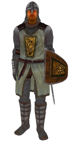 File:BravilGuard.png