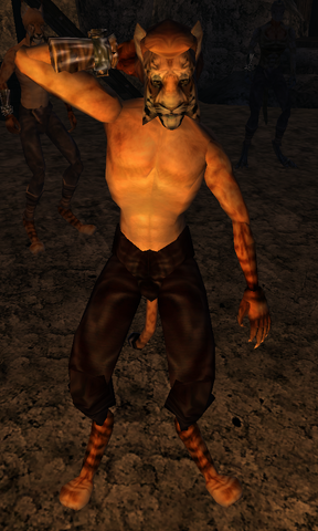 File:Ri'Darsha.png