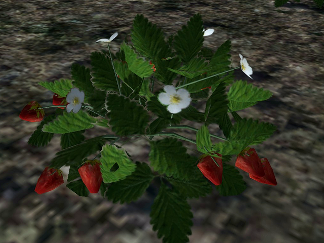 File:Strawberry.png