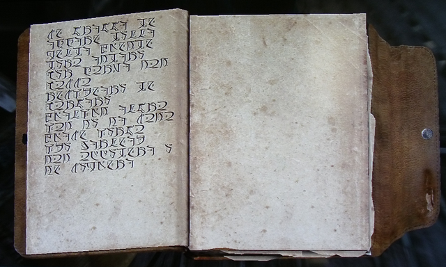 File:Diario codificato di Gallus - Pagina 11.png