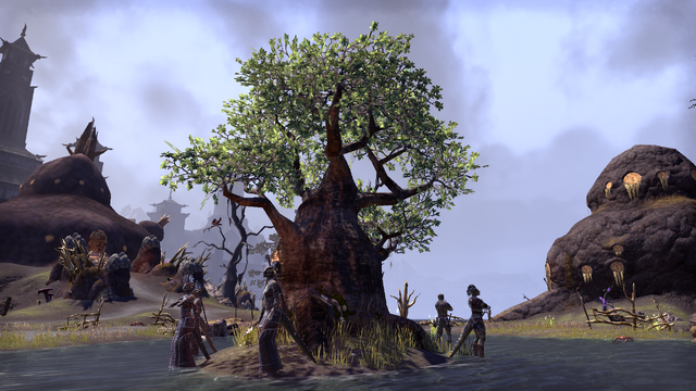 File:The Sapling.png