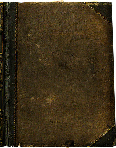 File:BookLarge02.png